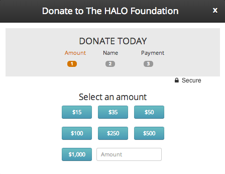 Making a donation: step 1 Making a donation: step 1